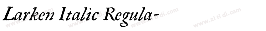 Larken Italic Regula字体转换